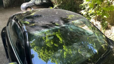 Volkswagen Beetle Sahibi İçin 9 Ay Süren Yedek Parça Çilesi