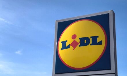 Lidl’in Çatı Şirketi Schwarz’dan Elektrikli Araçlara Fren: Neden Vazgeçtiler?